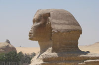 Sphinx, Zoom+
